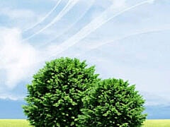 Dr ABDELLI+Gastrologist Dr ABDELLI+Gastrologist