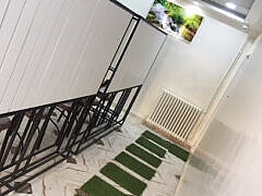 Dr Guemmaz aissam-Algologists Dr Guemmaz aissam-Algologists