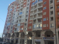 Dr Fatma SADI-Dermatologist Dr Fatma SADI-Dermatologist