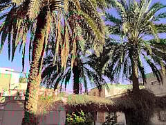 Dr Cherifi+Gynecologist Dr Cherifi+Gynecologist