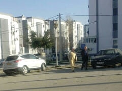 Dr M. BESSADI-pulmonologist Dr M. BESSADI-pulmonologist