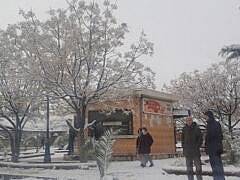 Dr Faiza SALEM+Cardiologist Dr Faiza SALEM+Cardiologist