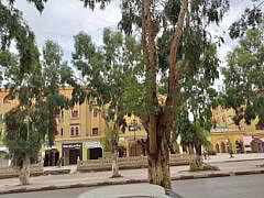 Dr Bedj Djamila+General practitioner Dr Bedj Djamila+General practitioner