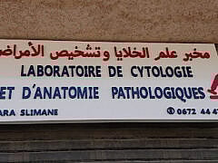 Dr Kara slimane djamil-Anatomy and pathological cytology Dr Kara slimane djamil-Anatomy and pathological cytology