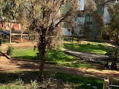 Dr Malti+Gynecologist Dr Malti+Gynecologist