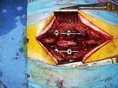 AF1QipP8plJaFNPhqJpmqQQ6HzCQqf6SrUBCKUrJLnSiw408-h306-k-no-1