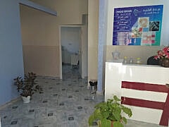 الدكتور نصر الدين بوعامة-Dentist الدكتور نصر الدين بوعامة-Dentist