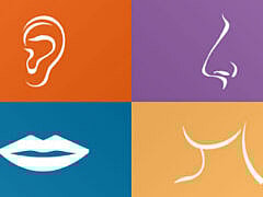 Dr Ait Bachir Amar+Otolaryngologists Dr Ait Bachir Amar+Otolaryngologists