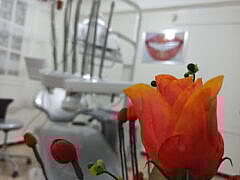 Dr Dine+Dentist Dr Dine+Dentist