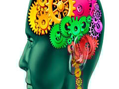 Dr-bekkouche-amelPsychiatristadoctororg-1