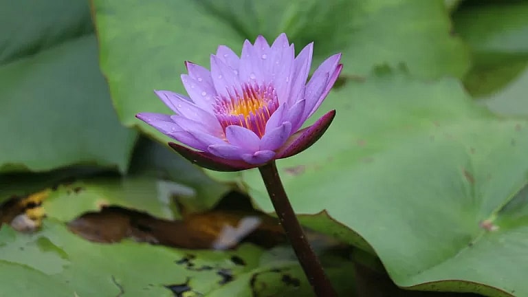 What is Infection Follow-Up: Overview, Benefits, and Expected Results