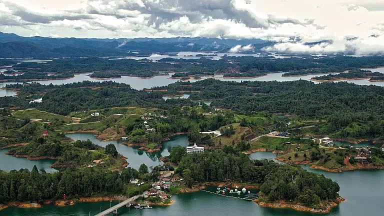 What is Liver Health Diet Consultation: Overview, Benefits, and Expected Results