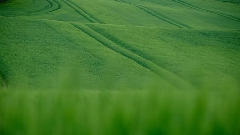 What is Nail Removal: Overview, Benefits, and Expected Results