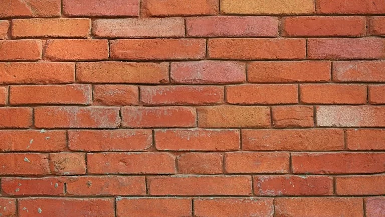 What is Paediatric Dentist Preventive Visit: Overview, Benefits, and Expected Results