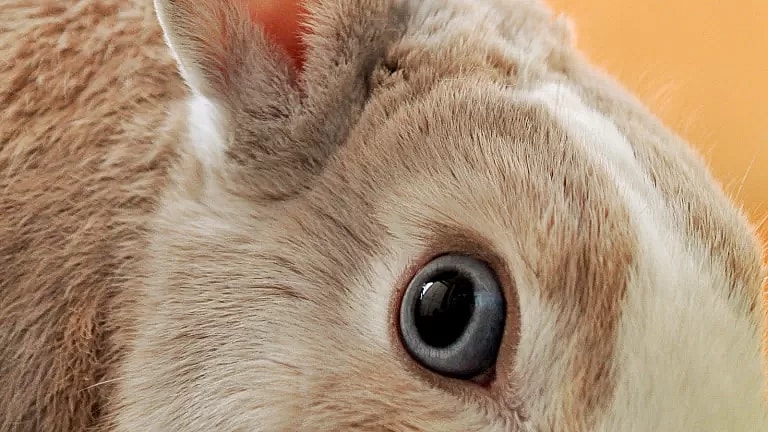 What are Pain Reduction Exercises: Overview, Benefits, and Expected Results