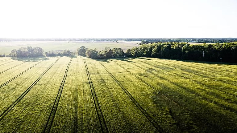 What is Pharyngolplasty: Overview, Benefits, and Expected Results