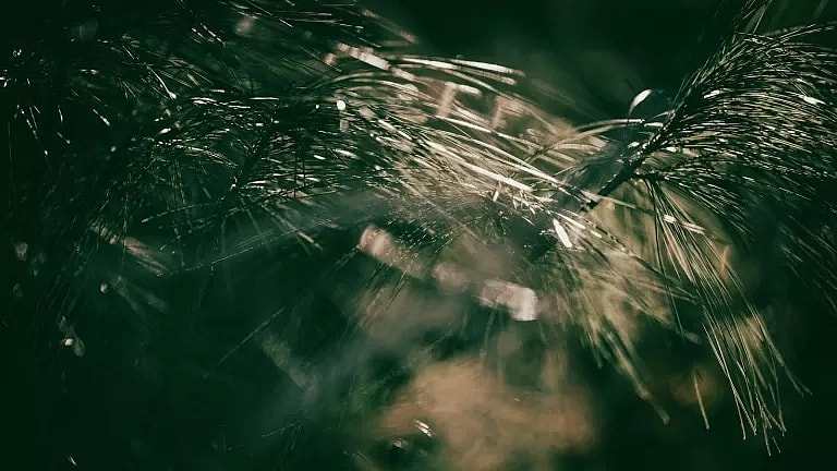 What is Photoreactive Keratectomy (PRK): Overview, Benefits, and Expected Results