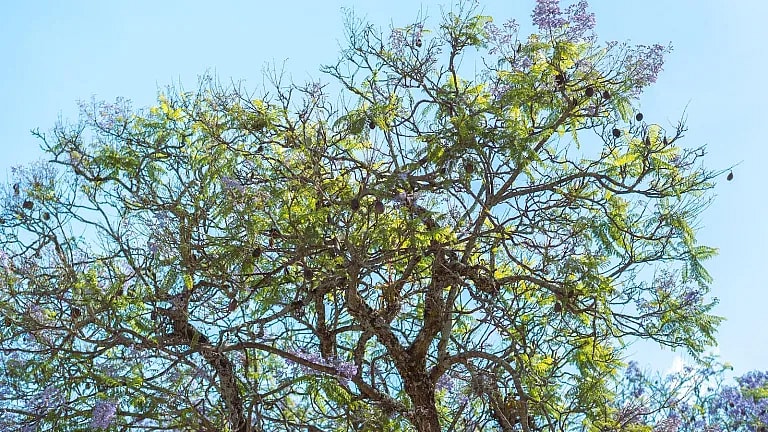 What is Psychometric Assessment: Overview, Benefits, and Expected Results