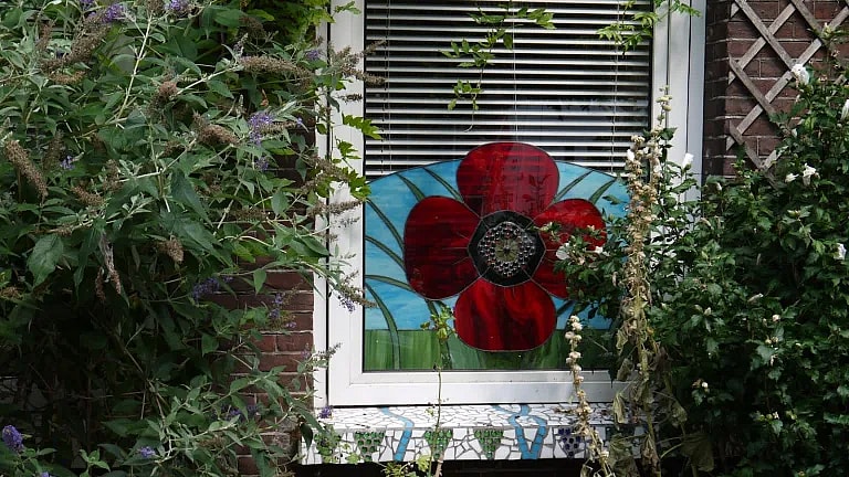 What is Pre-Natal Follow-Up: Overview, Benefits, and Expected Results