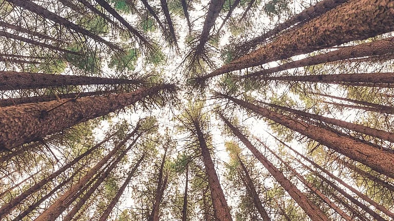 What is Psychiatry Follow-Up: Overview, Benefits, and Expected Results