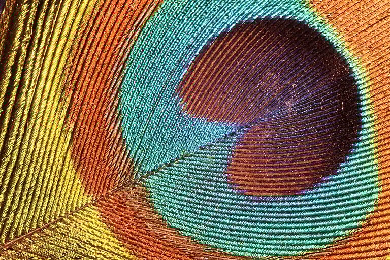 What is Ocular Oncology Follow Up: Overview, Benefits, and Expected Results