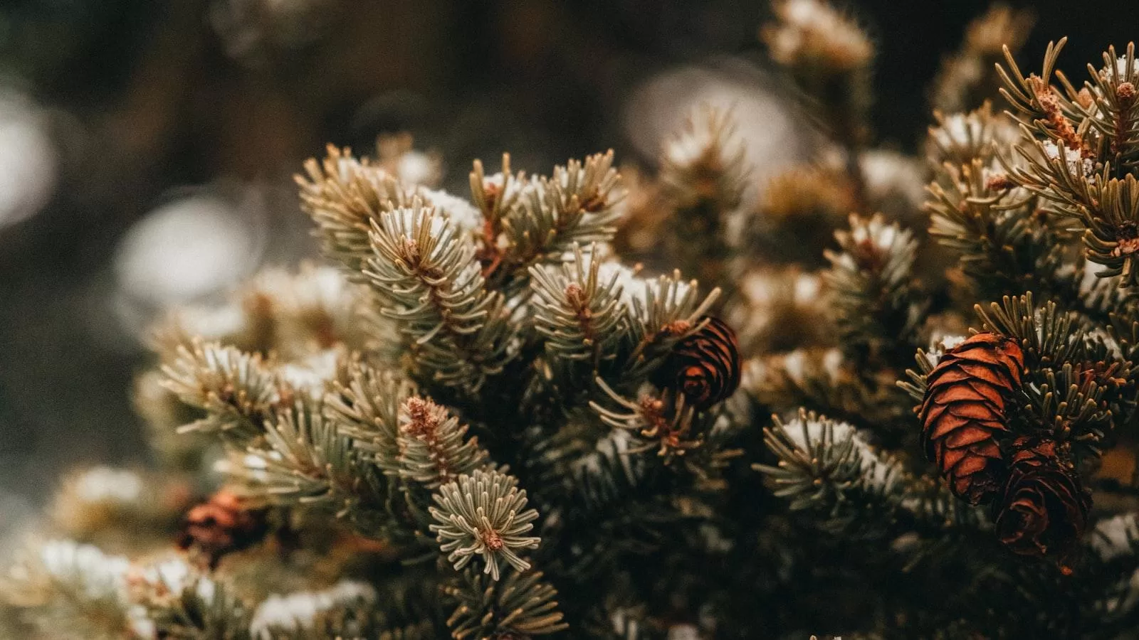 What Is An OB-GYN Follow-Up: Overview, Benefits, And Expected Results ...