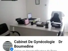 Dr Boumedine-Gynecologist